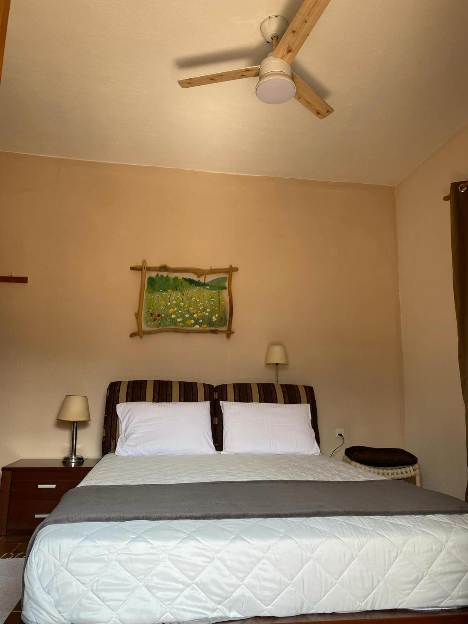 The Country House Koutsoupia Kokkino Nero Ngoại thất bức ảnh